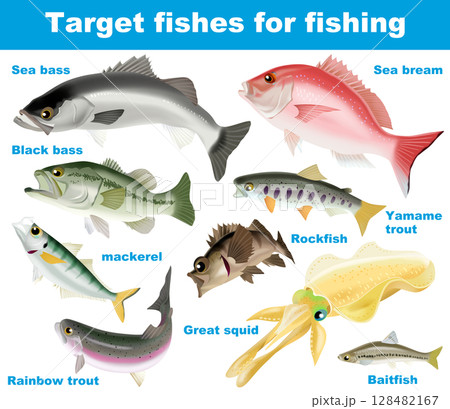 釣り対象魚 128482167