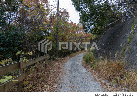 京都一周トレイルとその周辺の景色 128482310