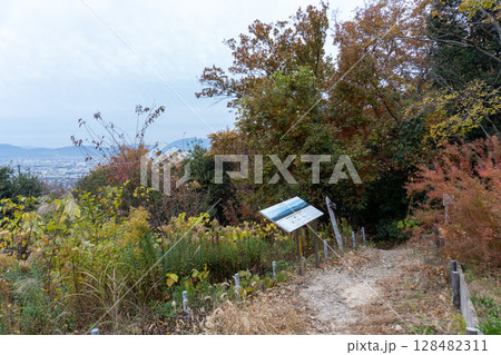 京都一周トレイルとその周辺の景色 128482311