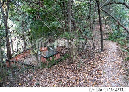 京都一周トレイルとその周辺の景色 128482314