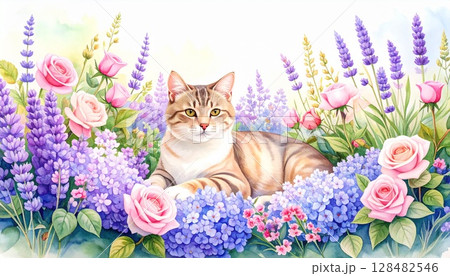 花畑と猫 128482546