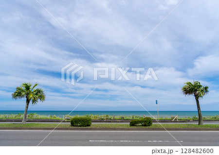 海沿いの道とヤシの木 128482600