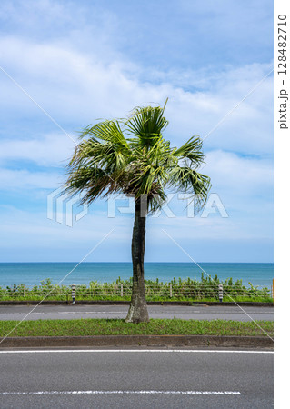 海へ続く道 海へ続く道 128482710
