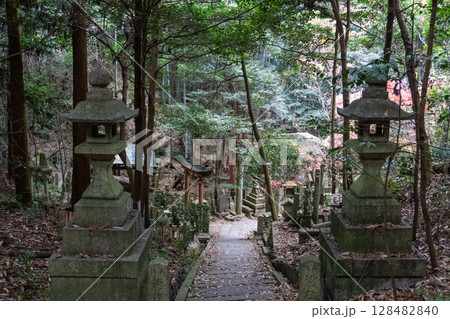 京都一周トレイルとその周辺の景色 128482840