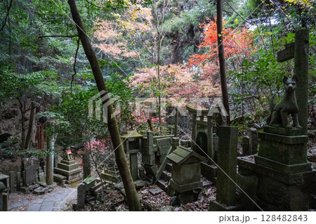 京都一周トレイルとその周辺の景色 京都一周トレイルとその周辺の景色 128482843
