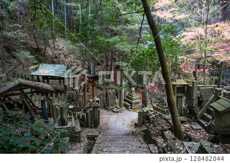 京都一周トレイルとその周辺の景色 128482844