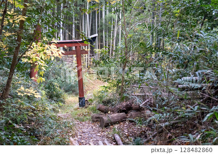 京都一周トレイルとその周辺の景色 128482860