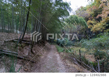 京都一周トレイルとその周辺の景色 128482866