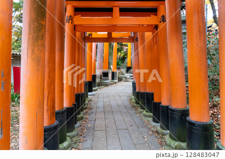 京都一周トレイルとその周辺の景色 128483047