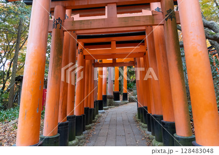 京都一周トレイルとその周辺の景色 128483048