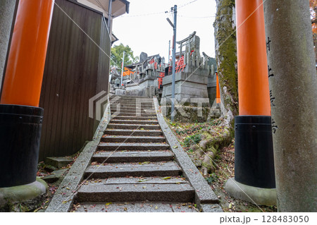 京都一周トレイルとその周辺の景色 128483050