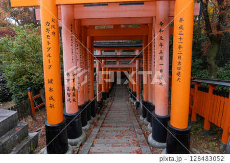 京都一周トレイルとその周辺の景色 128483052