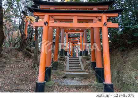 京都一周トレイルとその周辺の景色 京都一周トレイルとその周辺の景色 128483079