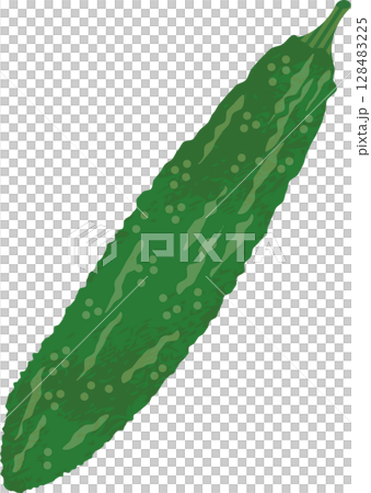 Bitter gourd Bitter gourd 128483225