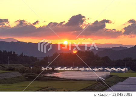 250715上野平g016 128483392