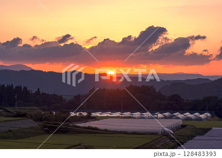 250715上野平g017 128483393