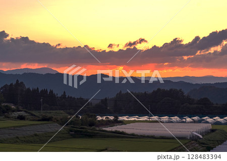 250715上野平g018 128483394