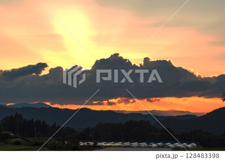 250715上野平z002 250715上野平z002 128483398