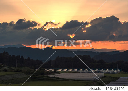 250715上野平z006 250715上野平z006 128483402