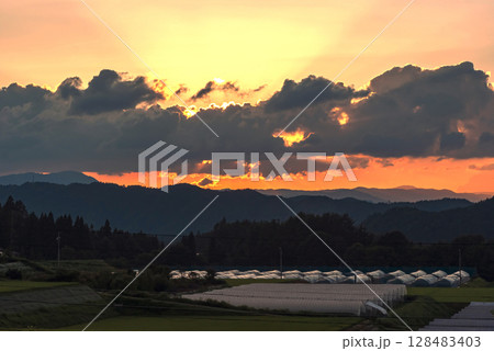 250715上野平z007 250715上野平z007 128483403