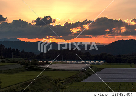 250715上野平z008 250715上野平z008 128483404