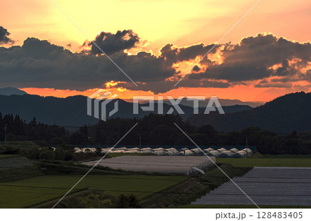 250715上野平z009 250715上野平z009 128483405