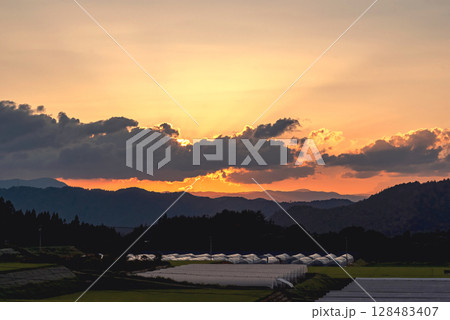 250715上野平z011 128483407