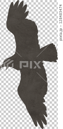 Illustration material of silhouettes of birds such as hawks, eagles, and kites 128483474