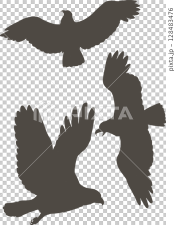 鷹、雕、鳶等鳥類剪影的插圖素材向量 鷹、雕、鳶等鳥類剪影的插圖素材向量 128483476