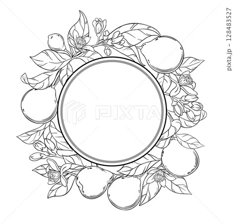 Bergamot Branch Outline Round Frame. 128483527