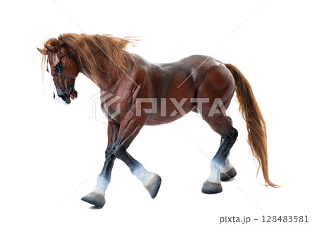 horse isolated horse isolated 128483581