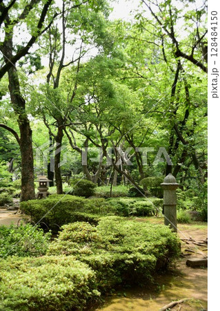 都心のオアシス 128484150