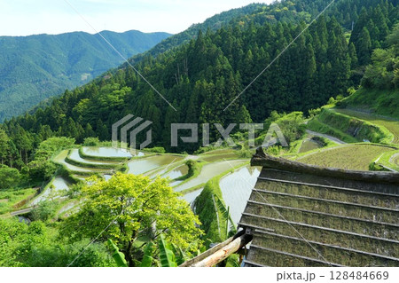 山深い徳島県上勝町樫原の棚田風景 Ver2 山深い徳島県上勝町樫原の棚田風景 Ver2 128484669
