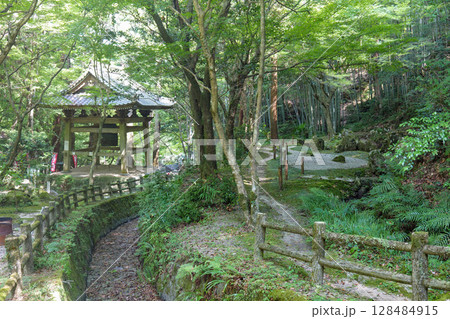 夏の龍蔵寺 128484915