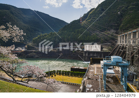 浜松市の秋葉ダムと千本桜の風景(静岡県) 128484979