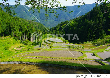 山深い急斜面に広がる徳島県上勝町の樫原の棚田風景 Ver2 山深い急斜面に広がる徳島県上勝町の樫原の棚田風景 Ver2 128484983