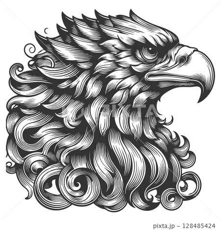 Eagle Head Flowing Feathers raster illustration 128485424