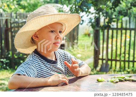 Small boy in a straw hat focuses on shelling beans while sitting at a table outside, surrounded by greenery 128485475
