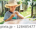 Small boy in a straw hat focuses on shelling beans while sitting at a table outside, surrounded by greenery 128485477