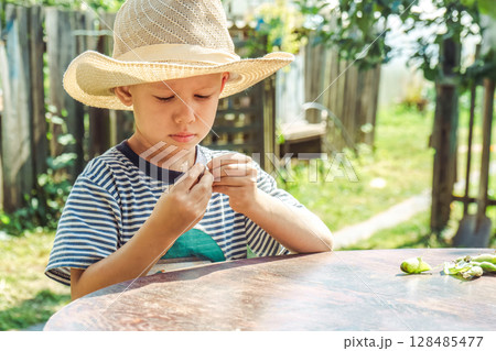 Small boy in a straw hat focuses on shelling beans while sitting at a table outside, surrounded by greenery 128485477