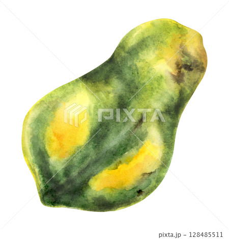 Watercolor whole papaya fruit tropical illustration Watercolor whole papaya fruit tropical illustration 128485511