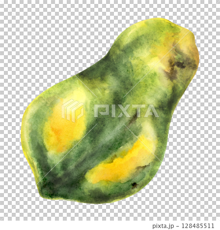 Watercolor whole papaya fruit tropical illustration Watercolor whole papaya fruit tropical illustration 128485511