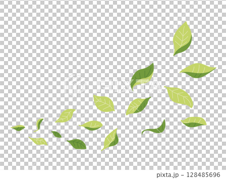 新鮮的綠葉在風中飛舞 128485696