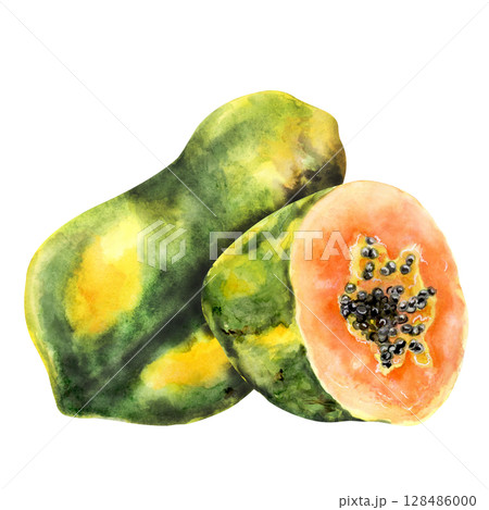 Watercolor whole and half papaya tropical fruit 128486000