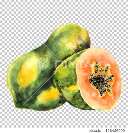 Watercolor whole and half papaya tropical fruit 128486000