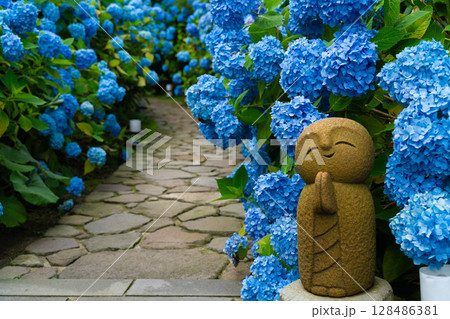 満開の紫陽花の中のかわいらしいお地蔵さん 満開の紫陽花の中のかわいらしいお地蔵さん 128486381