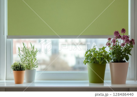 Motorized blinds green color closeup in the window opening. Automatic home roller shades and curtains. Modern bottom up privacy shades half raised on apartment windows. Windowsill with plants 128486440