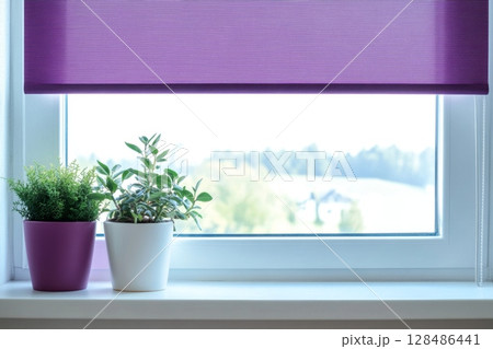 Motorized blinds purple color closeup in the window opening. Automatic home roller shades and curtains. Modern bottom up privacy shades half raised on apartment windows. Windowsill with plants 128486441