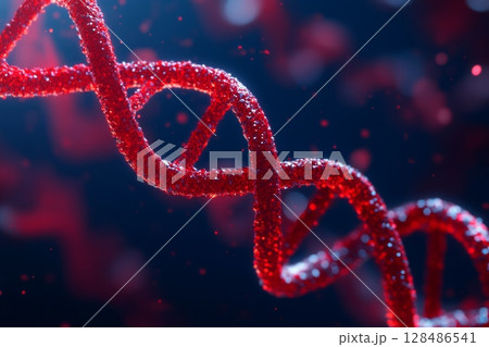 Vibrant red DNA helix set against a dark blue background. Visual of DNA double helix structure. DNA Strands. Genetic exploration, genome sequencing, change, biological kinship and genetic legacy 128486541