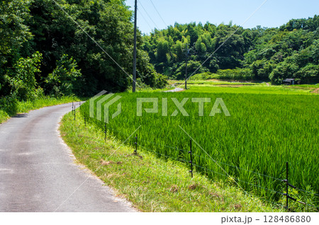 夏の田舎道 128486880